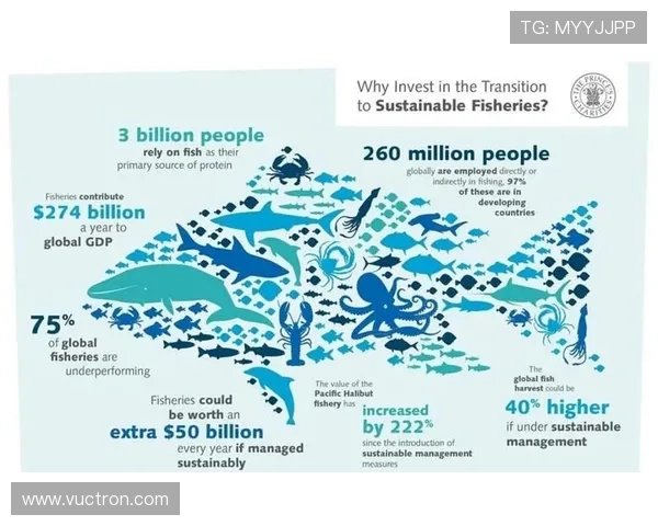 K8捕鱼国际携手知名品牌打造高品质捕鱼娱乐生态系统，开启线上捕鱼新时代